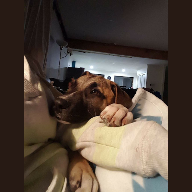 Photo of Penny