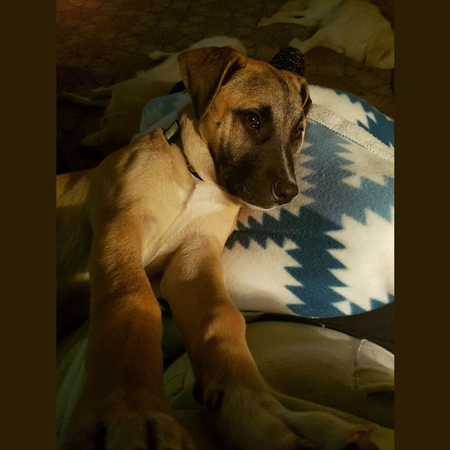 Photo of Penny