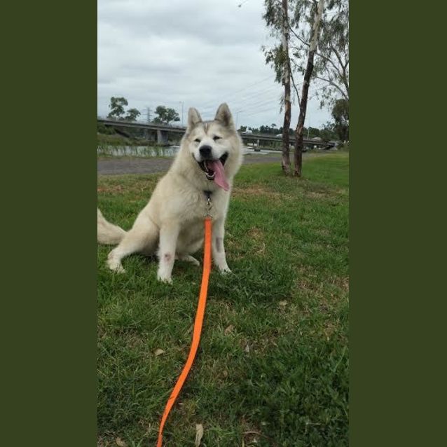 Photo of Axle