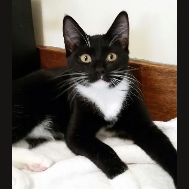 Photo of Sebastian