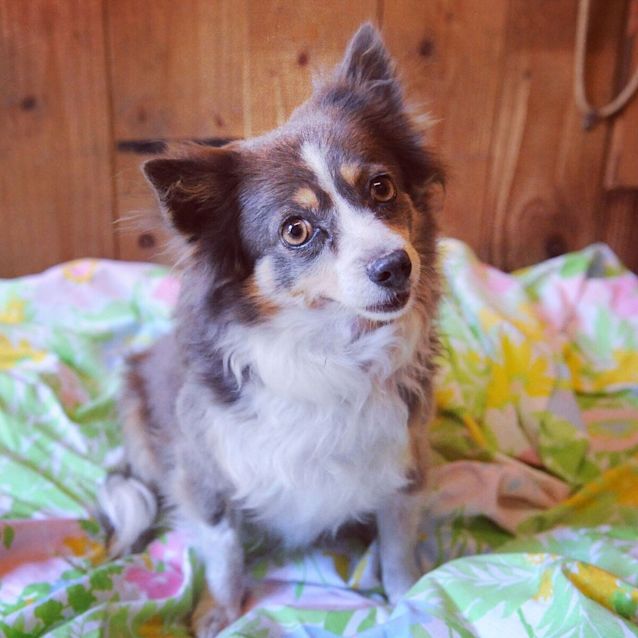 Photo of Chi Chi