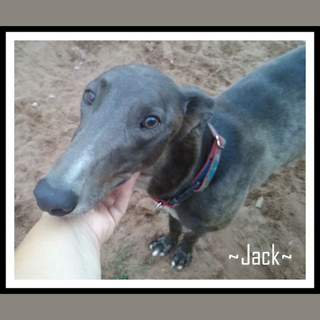 Photo of Lightning Jack