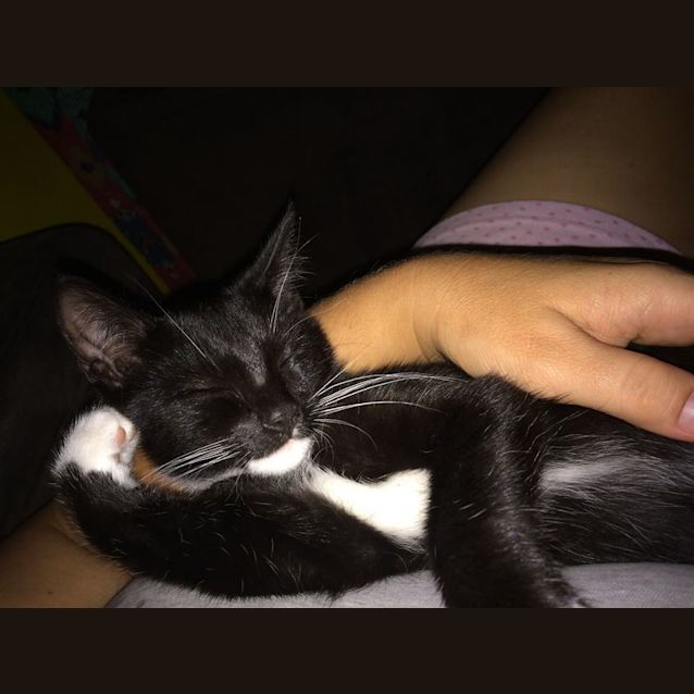 Photo of Sebastian