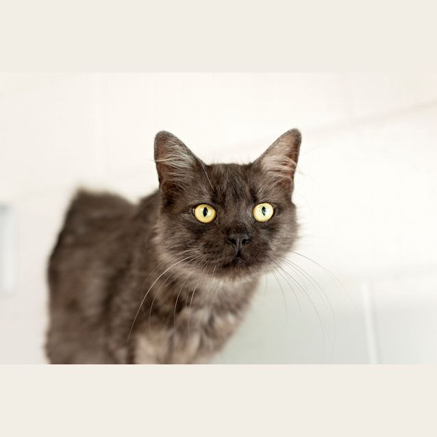Photo of Bruce