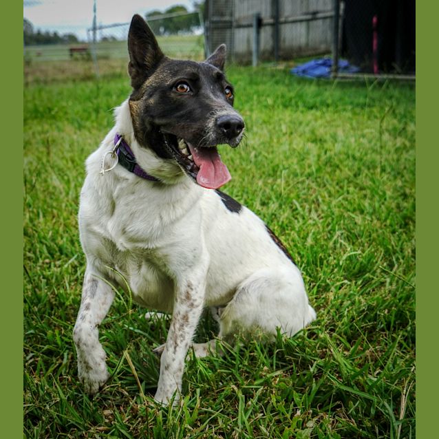 Photo of Luna