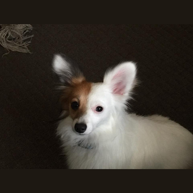 Photo of Sheldon (And Hope)