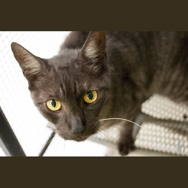 Photo of Colchester (0874)