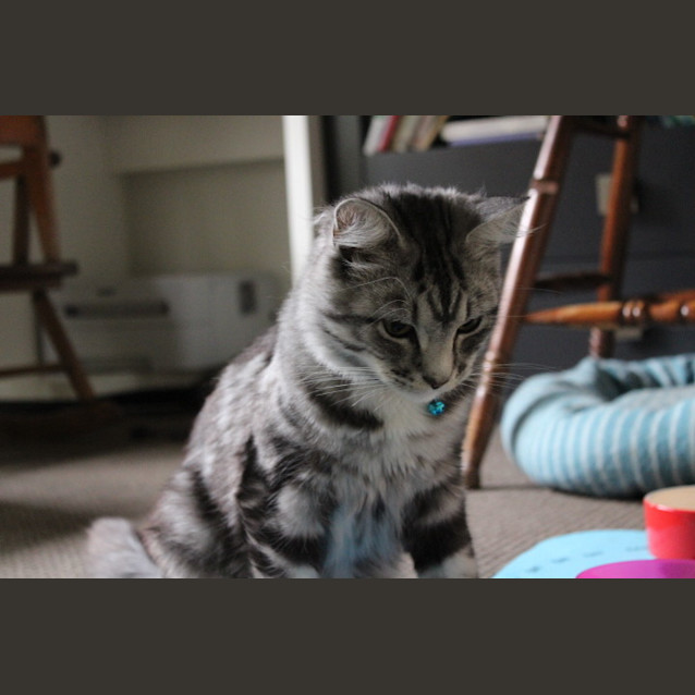 Photo of Tex