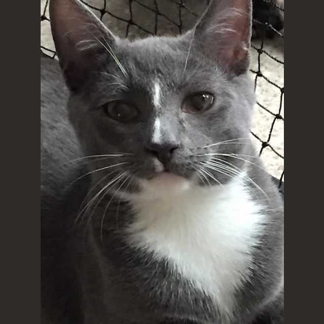 Photo of Buzz And Woody