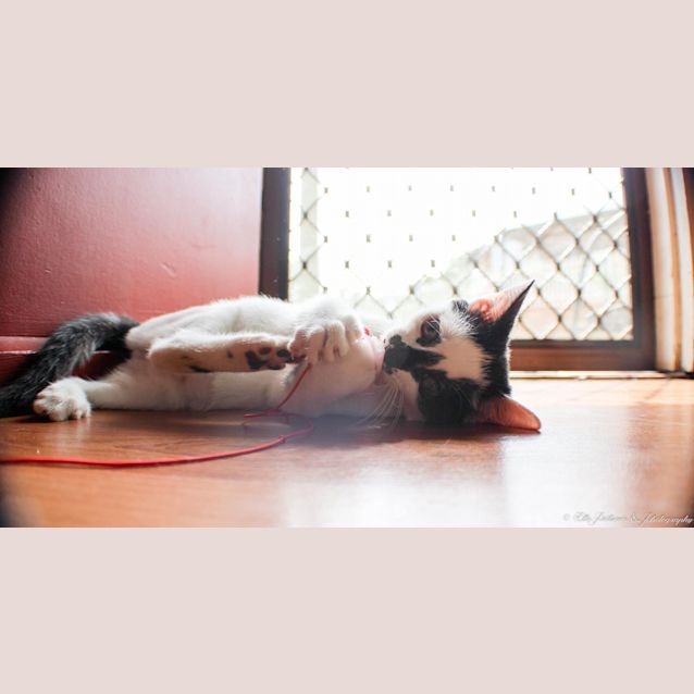 Photo of *Clint Eastwood* Make My Day!