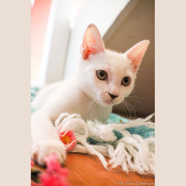 Photo of *Grace Kelly* A Princess In The Making!