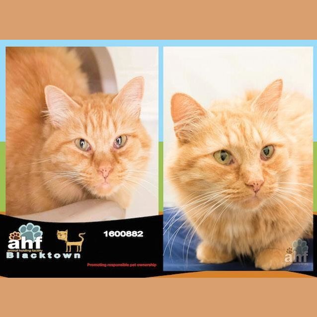 Photo of Witton (0882)