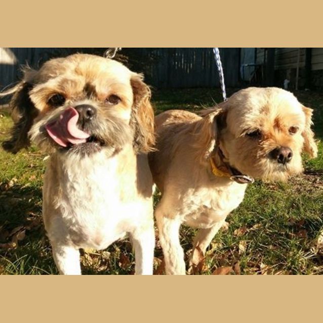 Photo of Lilly And Milly