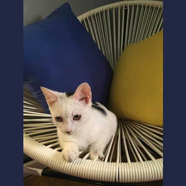 Photo of *Grace Kelly* A Princess In The Making!