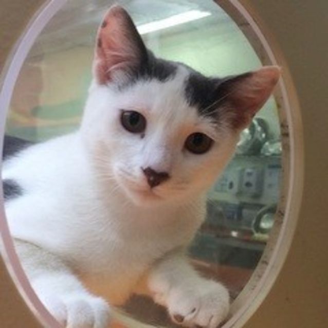Photo of Tom Tom