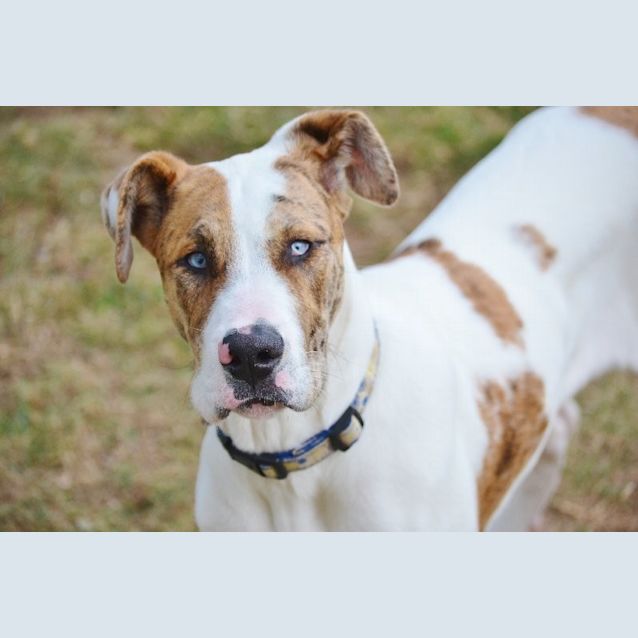 Photo of Sharnie