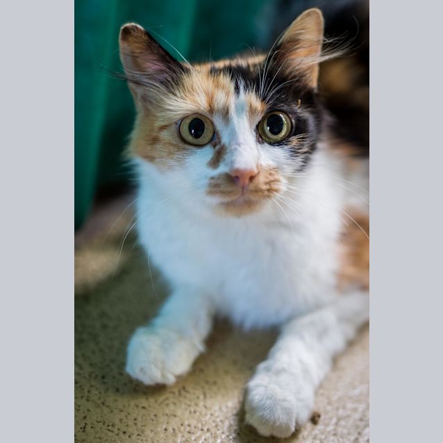 Photo of Penelope