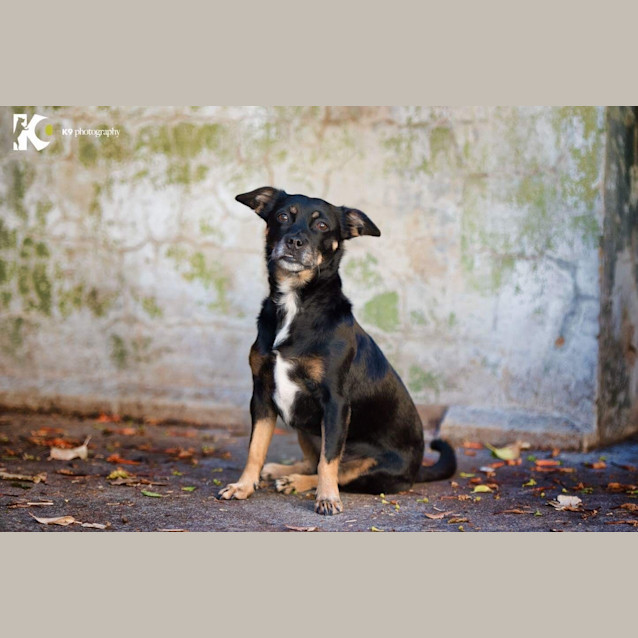 Photo of Kirra