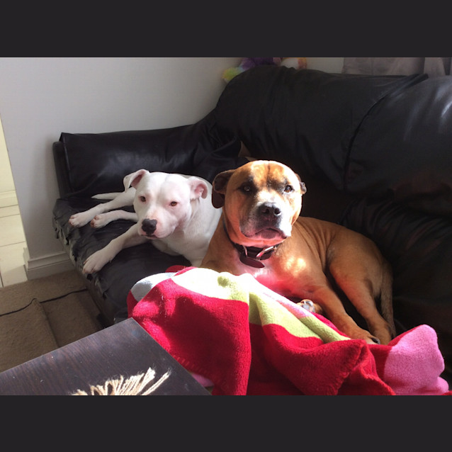 Photo of Poworio Tex