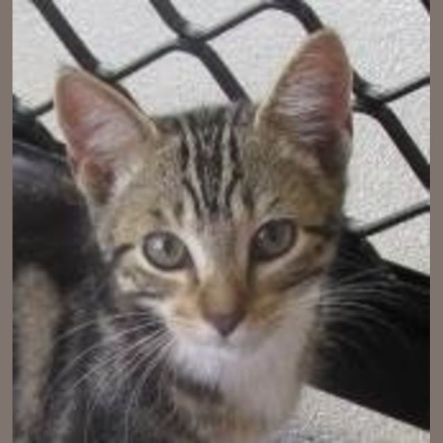 Photo of Mishka