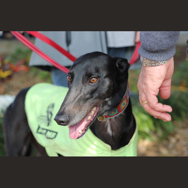 Photo of “Tony”, A Whole New World, Brisbane