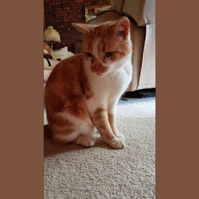 Photo of Chai & Sugar