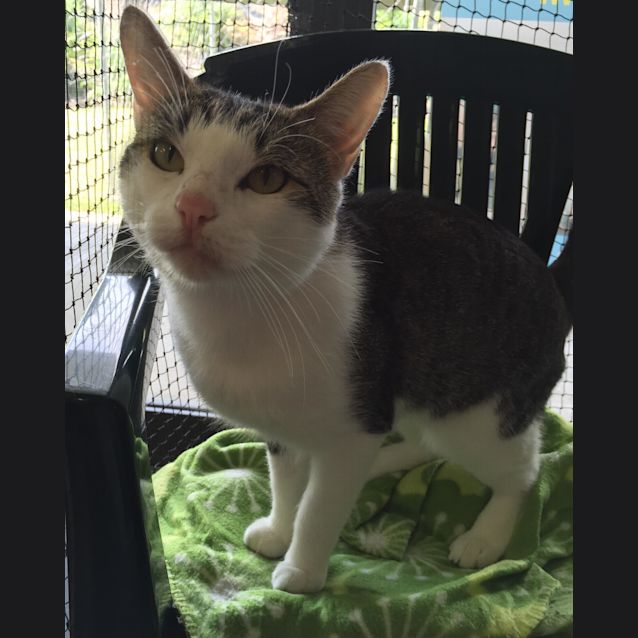 Photo of Percy