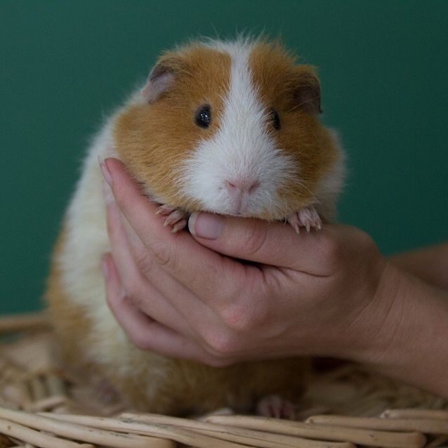 Photo of Chuck 