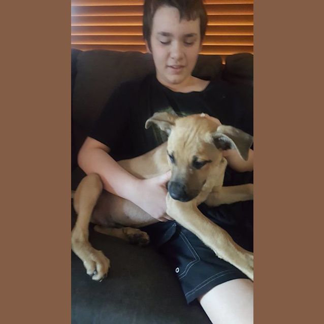 Photo of Banjo