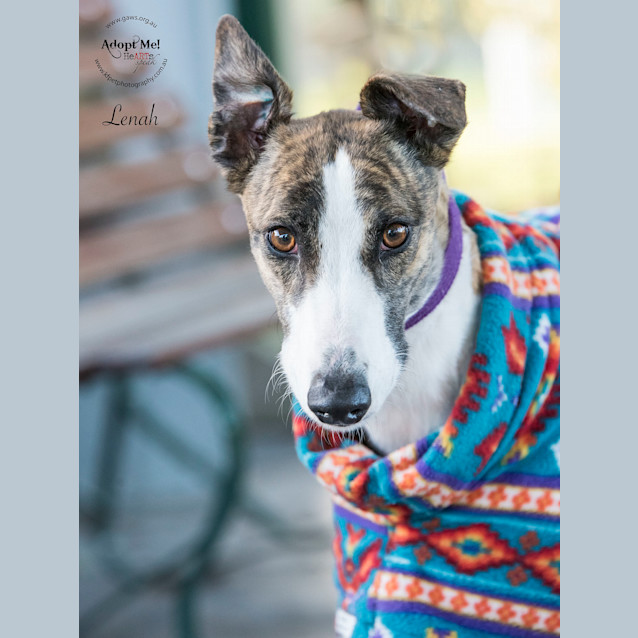 Photo of Lenah Id32442