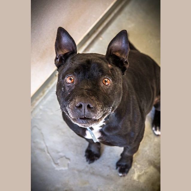 Photo of Impound 2858