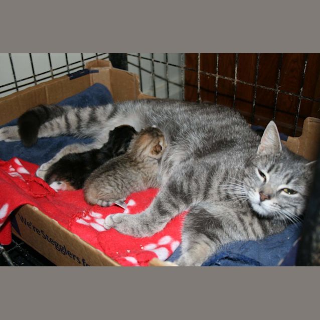 Photo of New Babies Born In A Pound