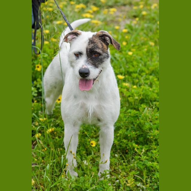 Photo of Millie Dl1441