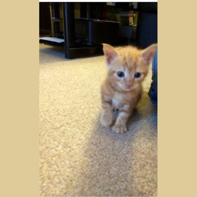 Photo of Twistie 
