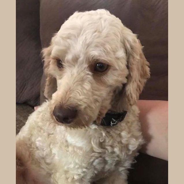 Photo of Noah   On Hold