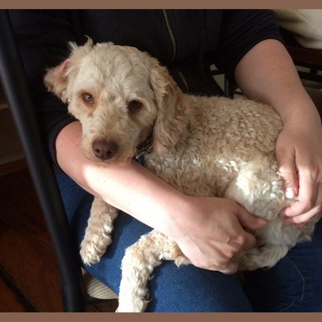 Photo of Noah   On Hold