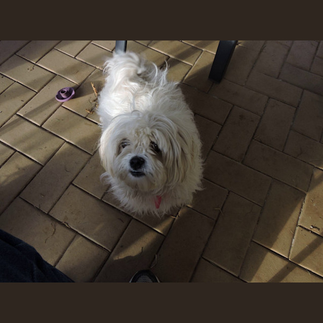 Photo of Molly