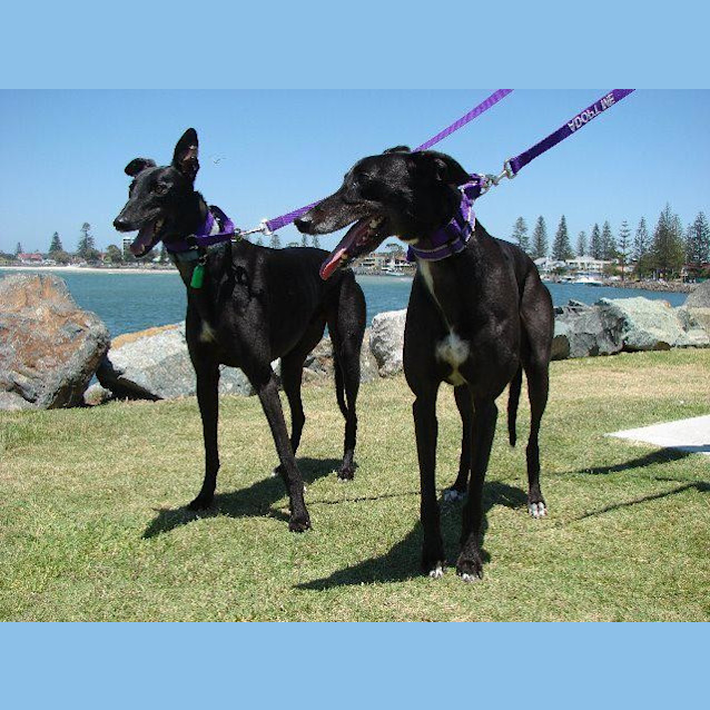 Photo of Fergus And Shirley