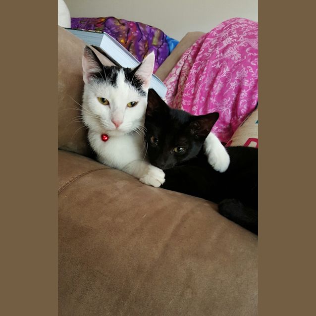 Photo of Midori (Dori)