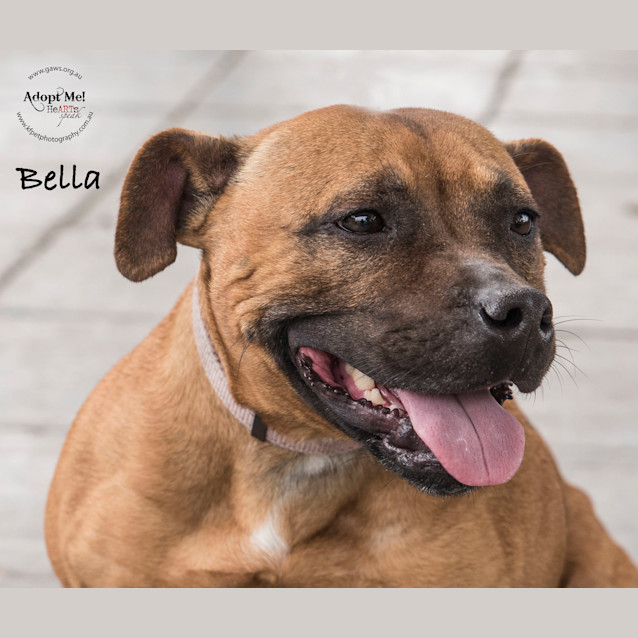 Photo of Bella Id26609