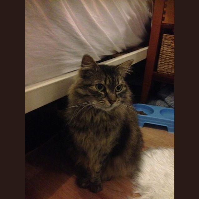 Photo of Lilly