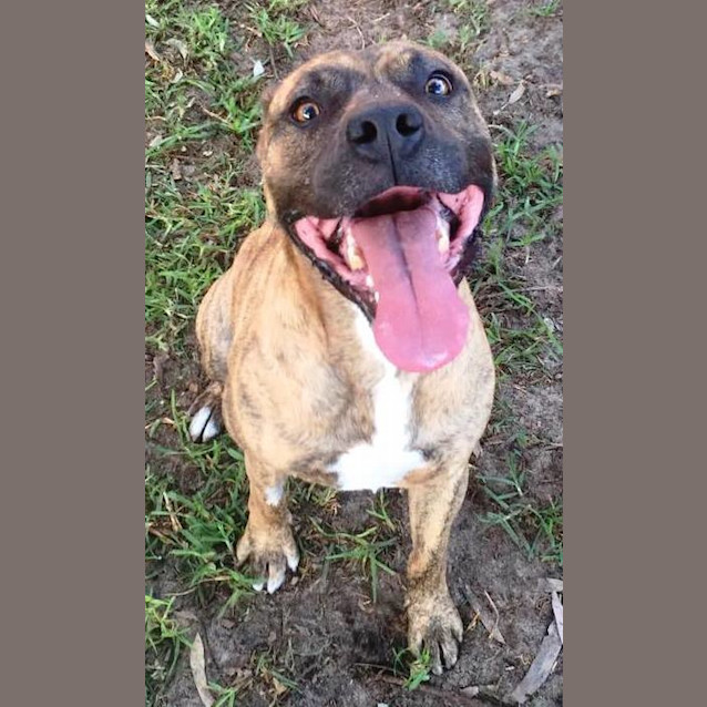Photo of Buddy 