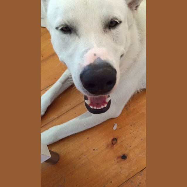 Photo of Jake