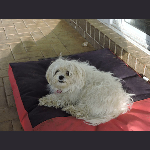 Photo of Molly