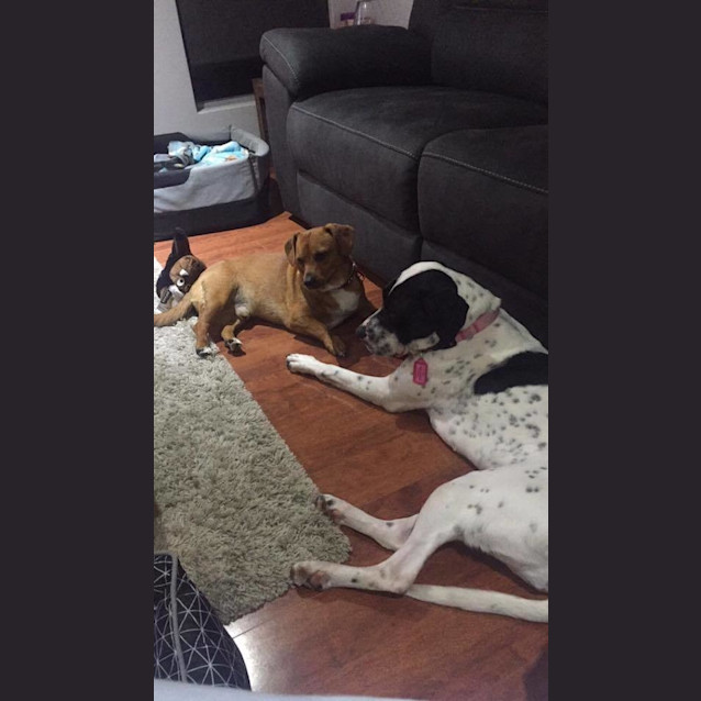 Photo of Zoe Dl1485