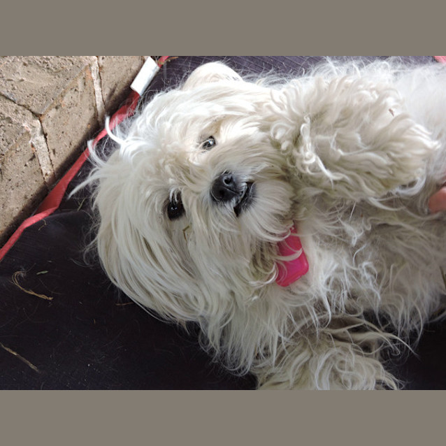Photo of Molly