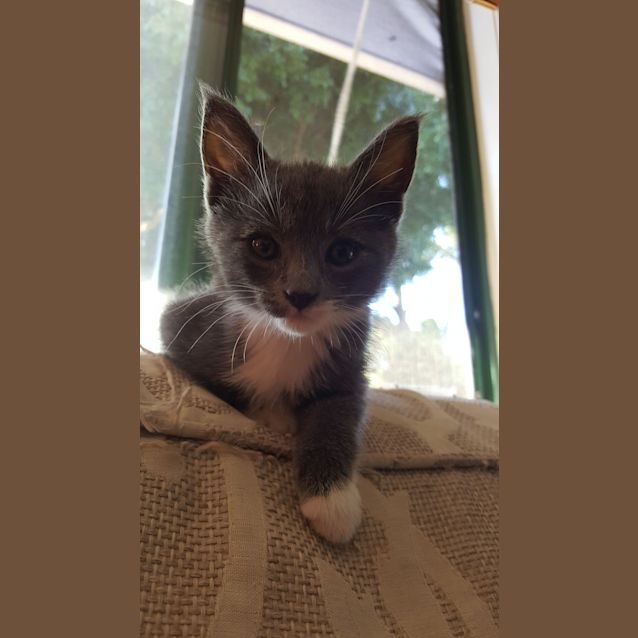 Photo of Iggle Piggle