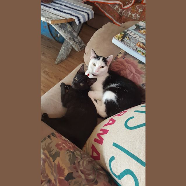 Photo of Midori (Dori)