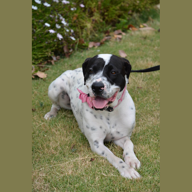 Photo of Zoe Dl1485