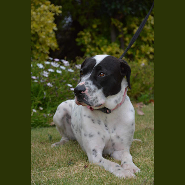 Photo of Zoe Dl1485